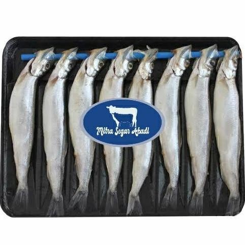 

Produk Baru!! Ikan Shisamo Telur - Frozen Ikan Panggang Isi Telur Jepang