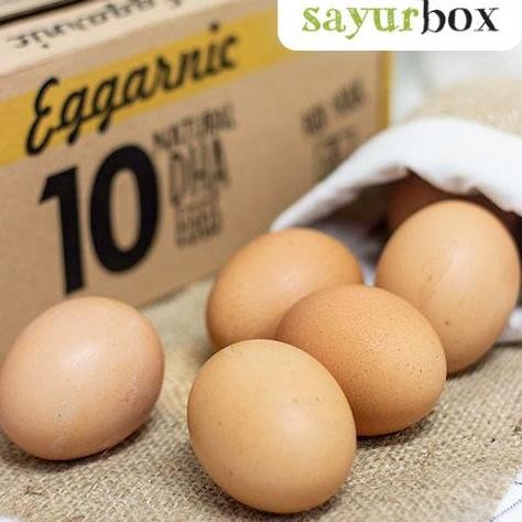 

Produk Baru!! Telur Omega Eggarnic Isi 10 Butir - Telur Ayam Negeri Organik