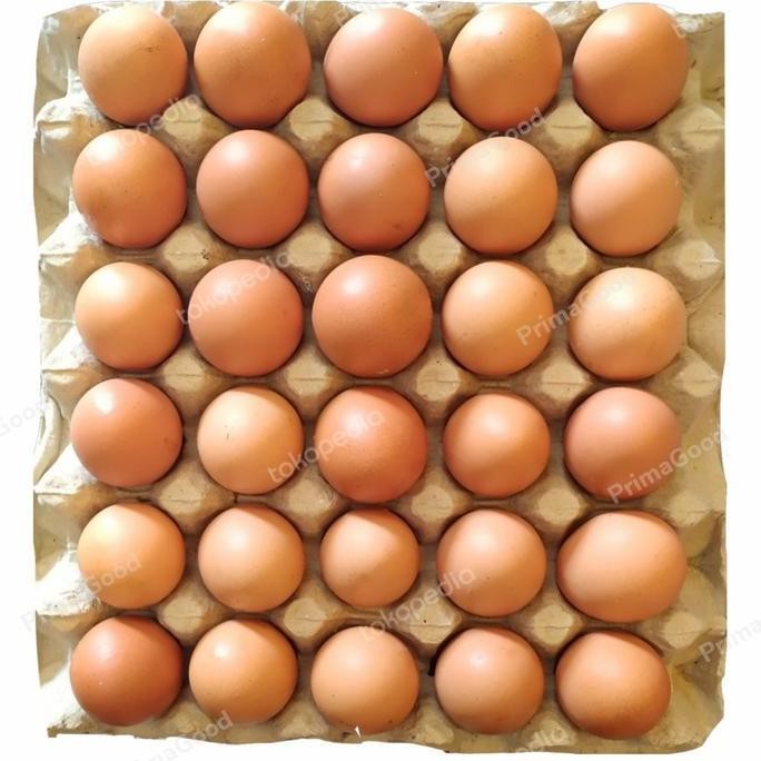 

Produk Baru!! Telur Ayam Negeri 1kg Fresh Kualitas Super Harga Terbaik