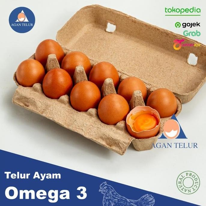 

Produk Baru!! Telur Ayam Omega 3 Super Isi 10 Butir - Telur Sehat Bergizi