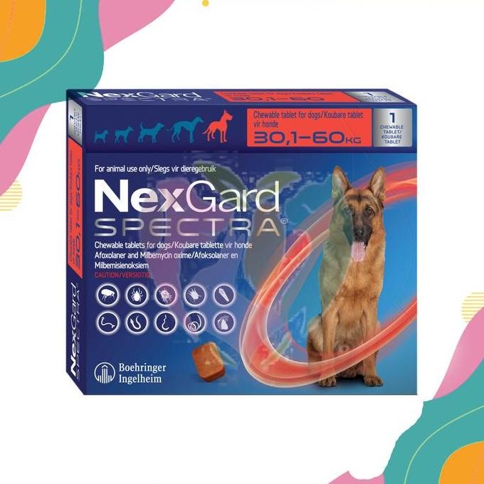 TERBARU - NEXGARD SPECTRA/ DOG/ 30- 60 kg
