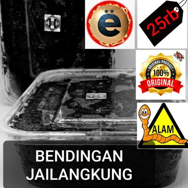 BENDINGAN JAILANGKUNG & LUMPUR SAKTI TR Nugi