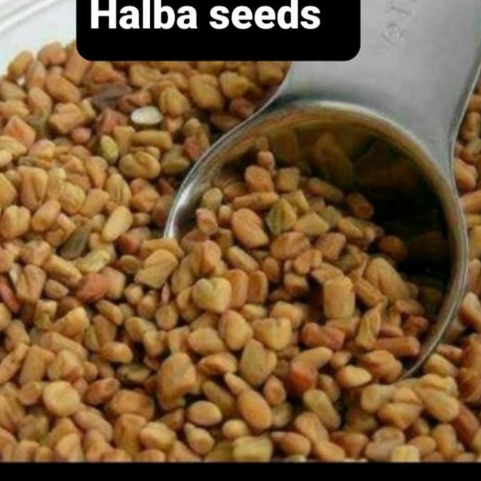 

^^^^^] FENUGREEK SEED / METHI 100 GRAM