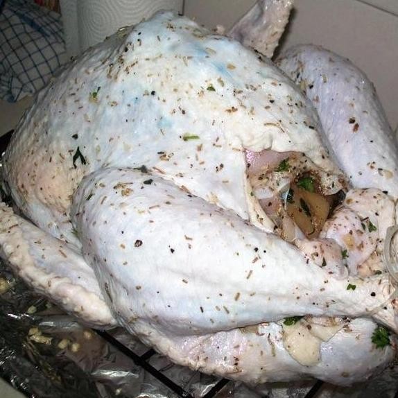 

Daging Kalkun Fresh Atau Ungkep Perkilo - Minimum Pesanan 5 Kg - #Gratisongkir