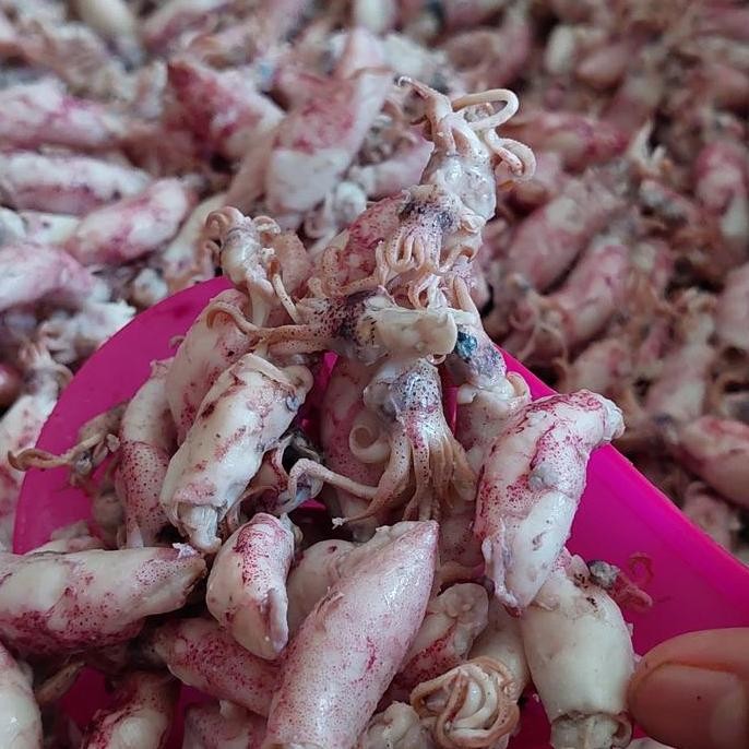 

Ikan Asin Cumi Baby Promo/Baby Cumi Asin 10Kg/1Dus #Gratisongkir