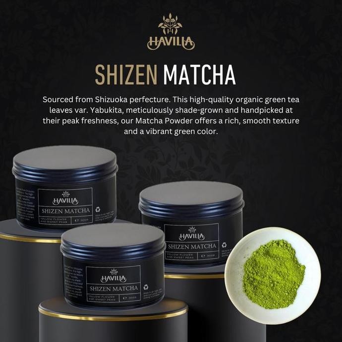 

Terlaris Havilla Compact Matcha Series Ready Stok