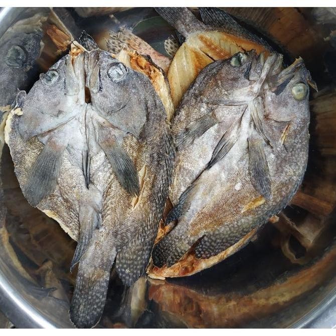 

Unik Ikan Asin Sunu Karapu Khas Makasaar Berbagai Ukuran Berkualitas #Gratisongkir