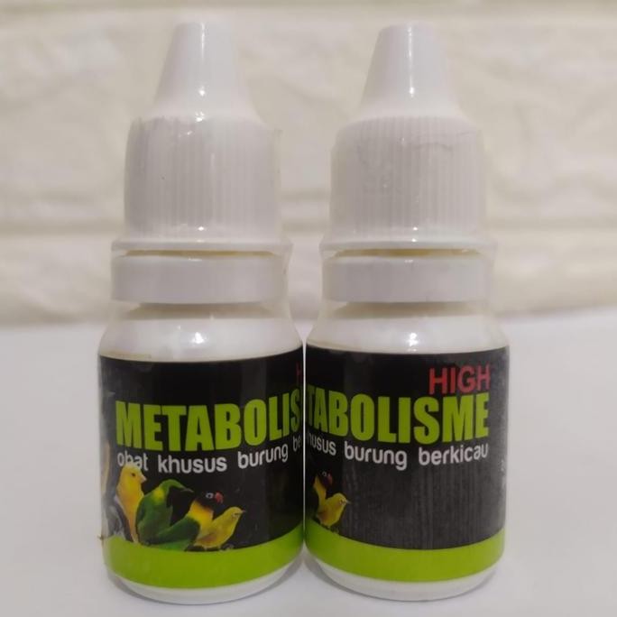 Metabolisme High vitamin burung pleci murai batu kacer dosis tinggi