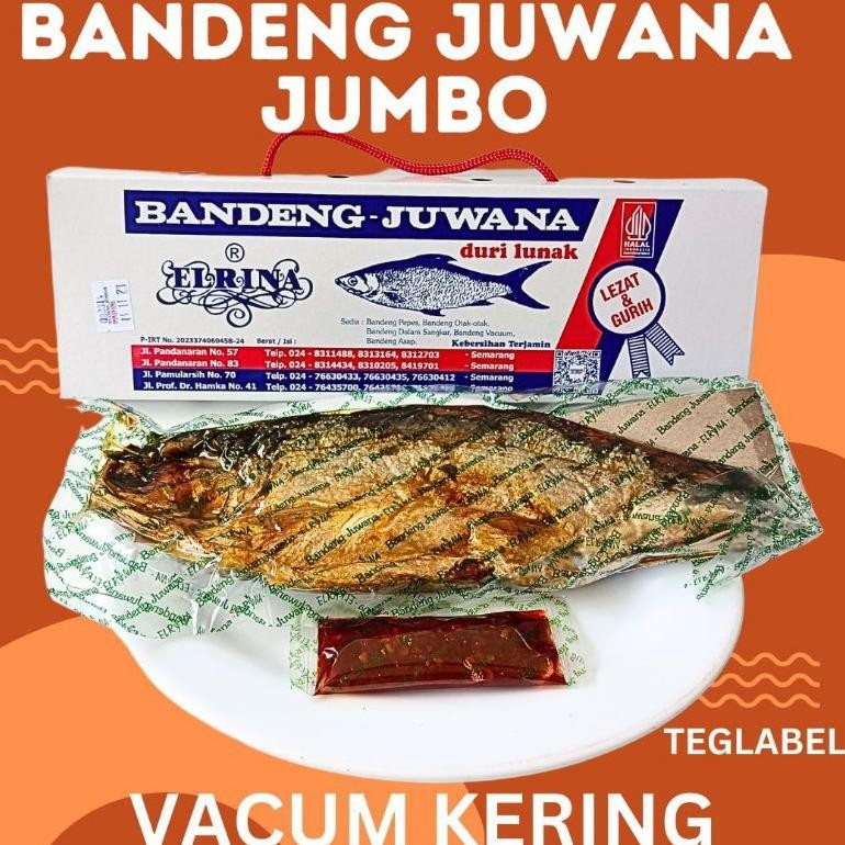 

Bandeng Juwana Jumbo Bandeng Erlina Ukuran Jumbo Bandeng Presto Duri Lunak
