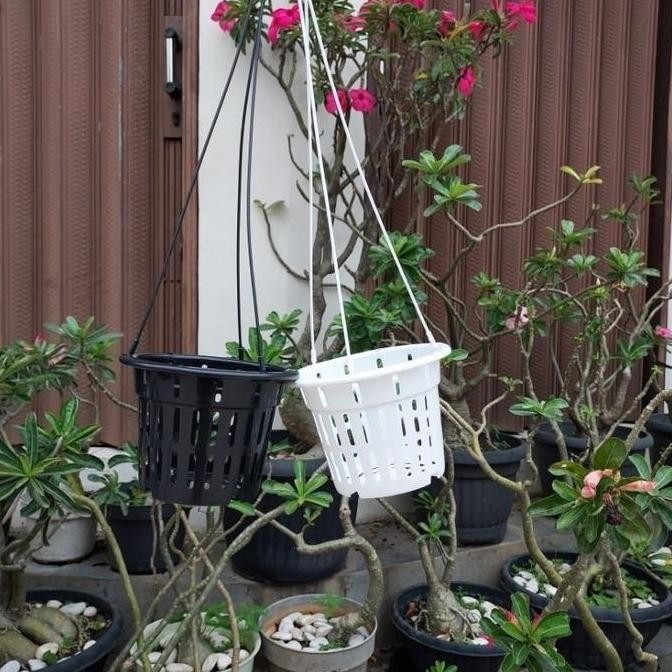 

Baru Netpot Gantung 17Cm Lusinan (12Pcs) Pot Tanaman Anggrek Nkt 17 Gantung Plastik