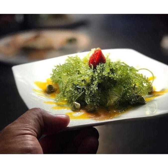 

Terlaris | Terbaru | Best Seller | Termurah Anggur Laut / Sea Grapes / Green Caviar / Vegetarian Caviar / Umibudo Original | High Quality | Berkualitas