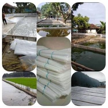 [Expert] Plastik UV Lebar 6 Meter 14% Tebal 200 Micron (Greenhouse) plastik atap