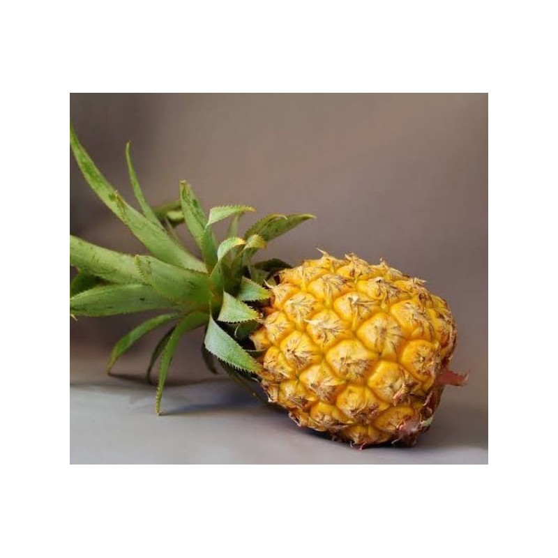 

[]COD[] __ Deka Buah Nanas Madu Tanpa Dikupas (1 pcs)