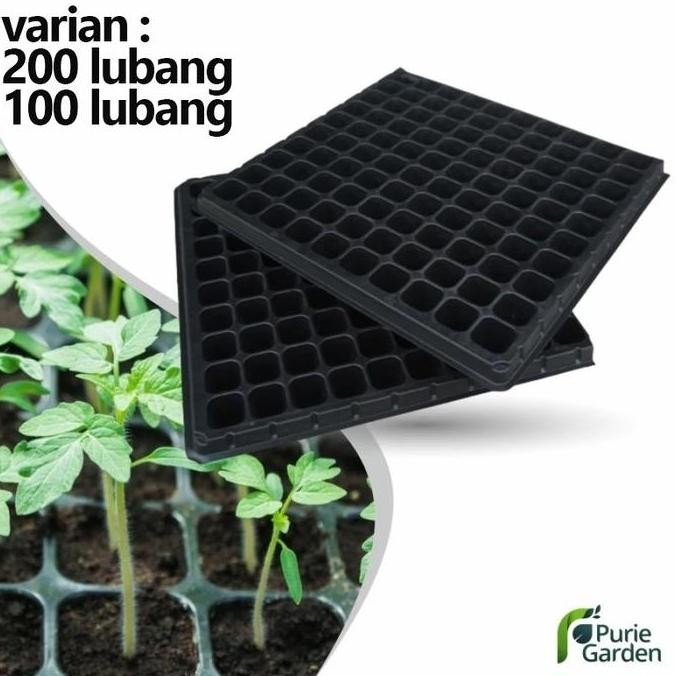 [Expert] Tray Semai Pot Tray Penyemaian Bibit Tanaman 200 & 100 Lubang PG SBY