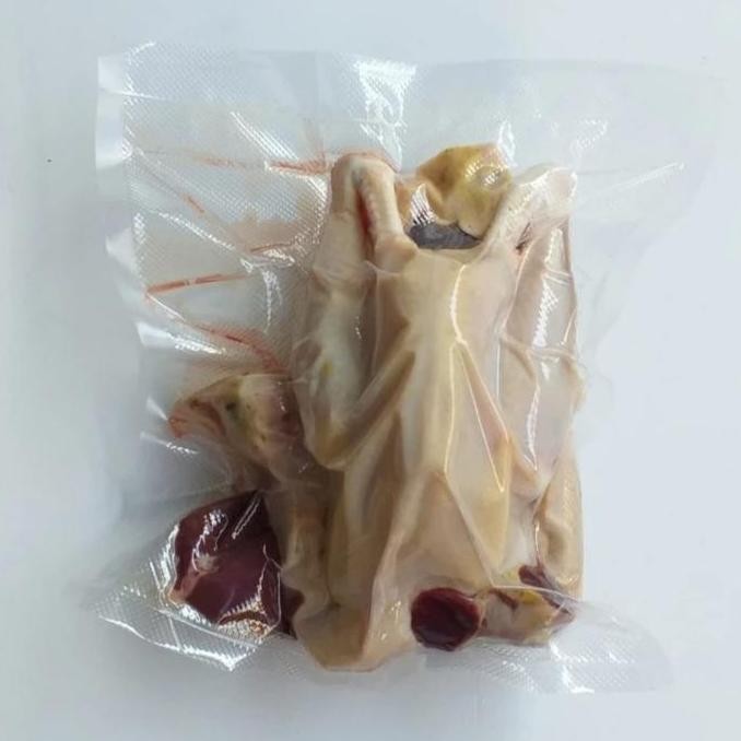 

Anakan Ayam kampung Muda Asli Solo