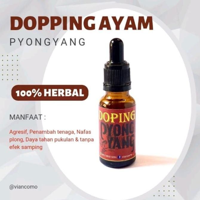 DOPING AYAM PYONG YANG AGRESIF AYAM PENAMBAH TENAGA NAFAS PLONG HERB