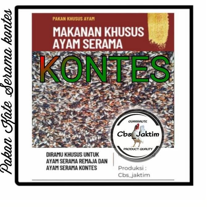 pakan ayam Serama kontes/makanan ayam kate dan serama kontes