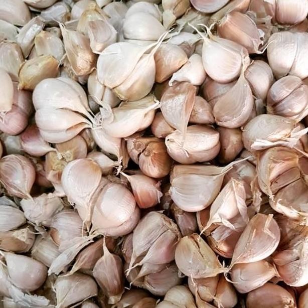 

Original Bawang Putih Kating Bersih 500gr - Bumbu Masak Segar dan Siap Pakai