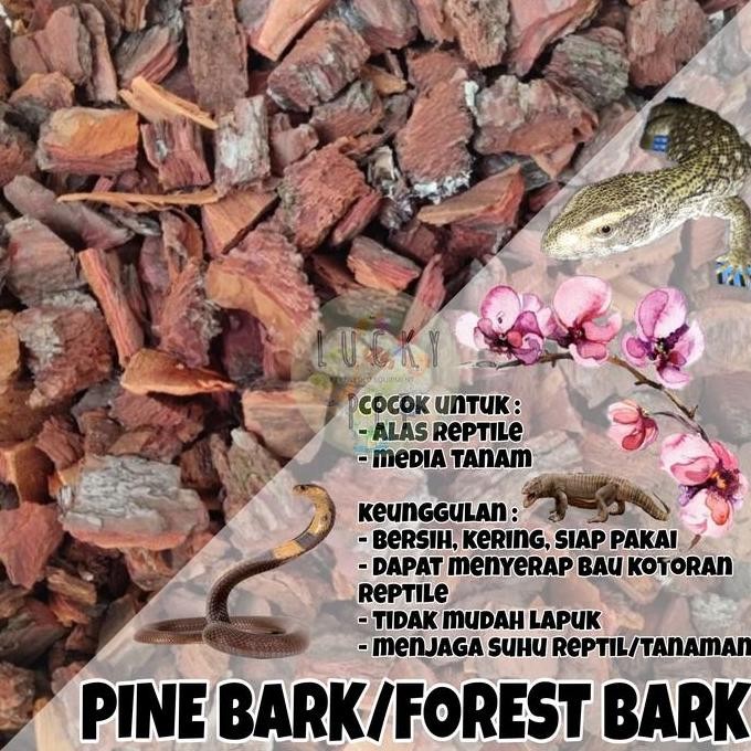 Ready Forest bark pine bark kulit kayu pinus cemara media tanam anggrek