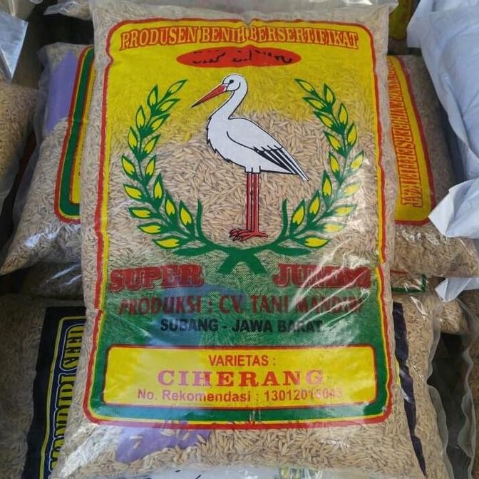 Ready Benih Padi Unggul Ciherang Bersertifikat Label Ungu