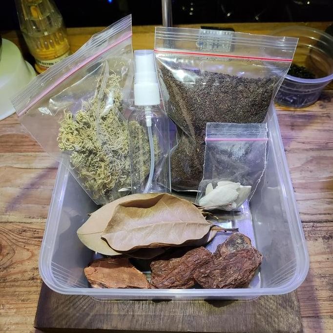 Starter Pack Isopod Paket Kandang Isopod