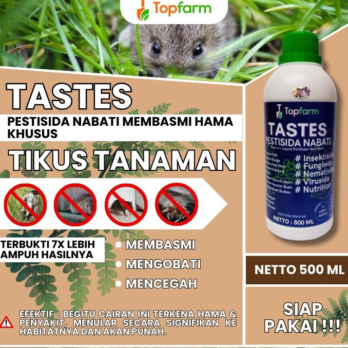 Obat Hama Tikus Sawah Ampuh / Obat Hama Tikus Semprot / Obat Hama Tikus Padi Sawah / Obat Hama Tikus