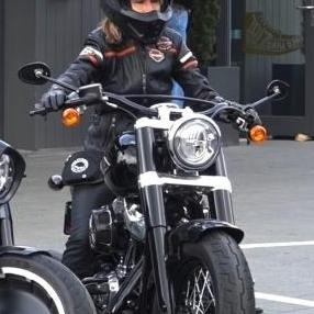 Stang Custom Stang Motor Stang Harley Stang HD Stang 1 inch Beach Bar