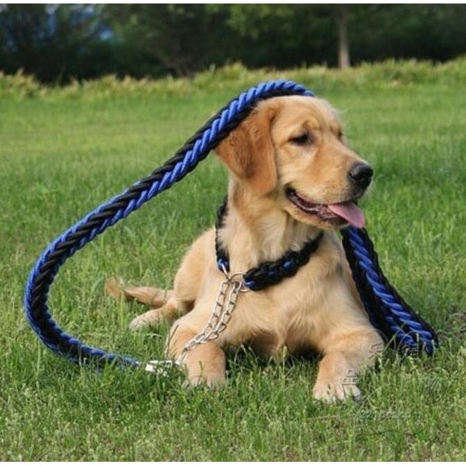 Tali Rantai Anjing Besar / Dog Leash / Kuat Tebal Aman