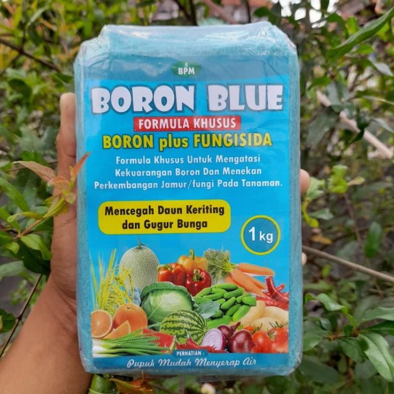 BORON BLUE 1 KG / FORMULA KHUSUS/ BORON plus FUNGISIDA/ untuk mencegah daun keriting dan gugur bunga