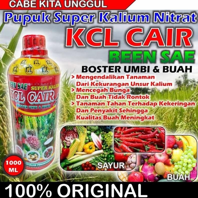 Pupuk Cair SUPER KALIUM KCL CAIR BEEN SAE 1 Liter Nugi