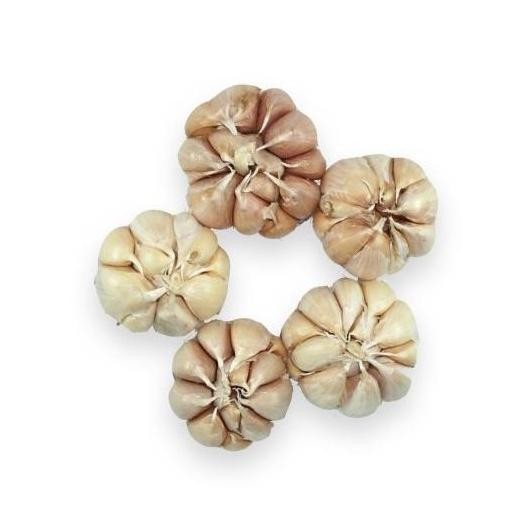 

Diskon! Bawang Putih Natural 1kg - Bawang Segar Alami