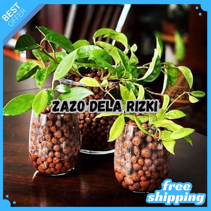 HIDROTON 1,5 LITER JERMAN - LECA CLAY BALLS MEDIA TANAM HYDROTONE BY ZAZODELARIZKI