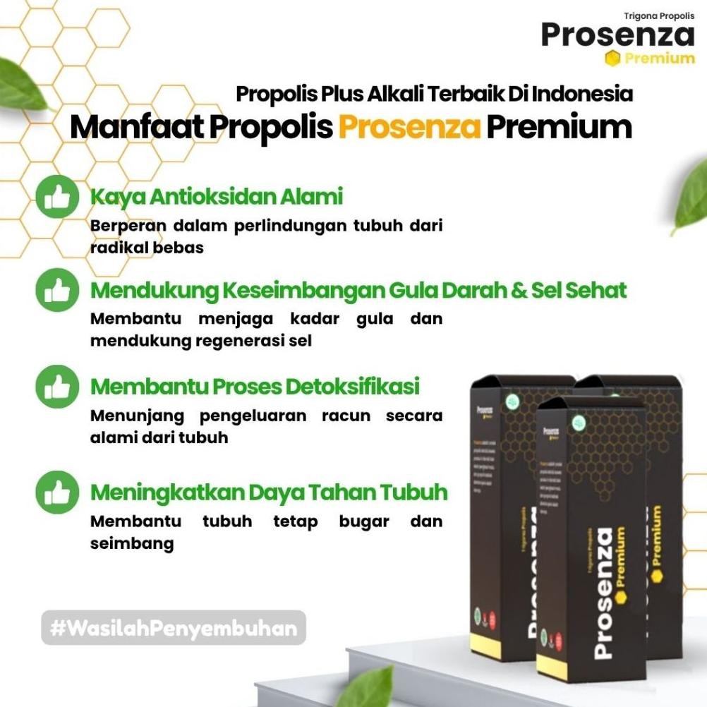 New // Propolis Prosenza Premium Plus Alkali 100% Original Obat Herbal Diabetes Asam Urat Kolesterol