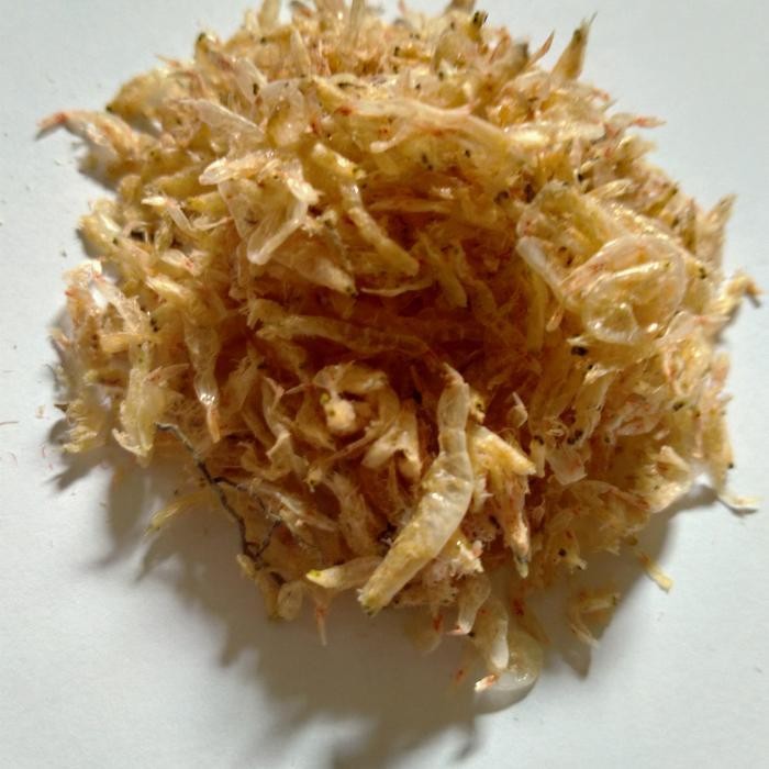 

HF udang rebon kering tawar pakan ikan koi ikan predator 200 gram