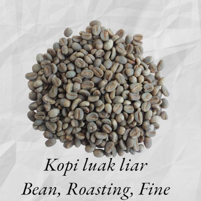 

Green Bean Kopi Luwak Liar Asli 250G / Arabika Gunung Halu