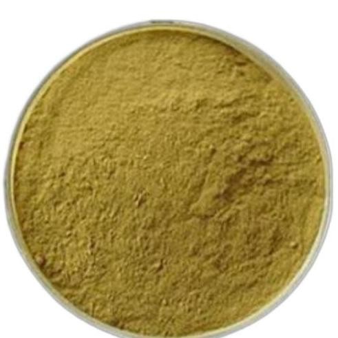 

Diskon! Oregano Powder 500Gr - Bubuk Daun Oregano Murni Tanpa Campuran