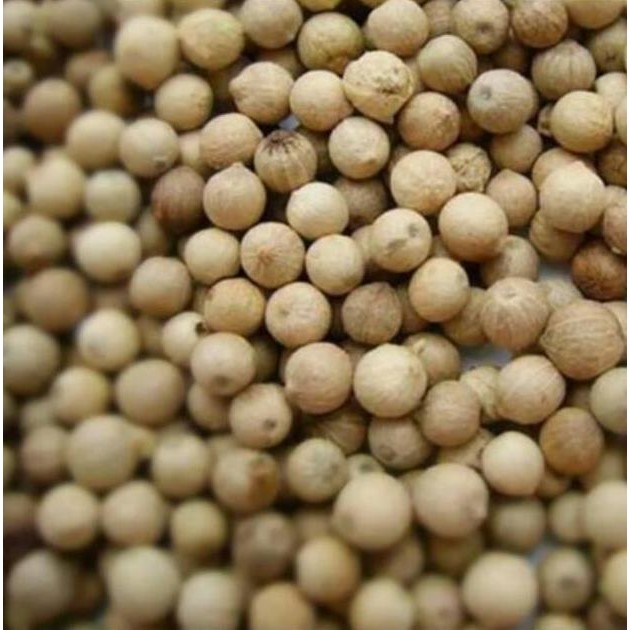 

Diskon! Lada Putih Butiran 250Gr - White Pepper Whole Rempah Pedas