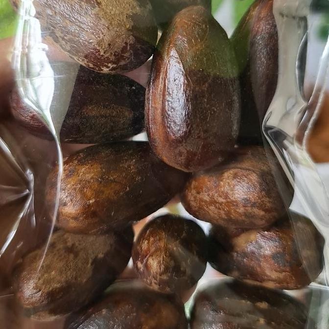 

Diskon! Biji Pala Lonjong Utuh 1Kg - Kualitas Premium Masih Ada Kulit