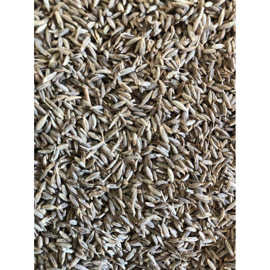 

Diskon! Jintan Putih 1Kg / Cumin Seeds India / Jeera Whole