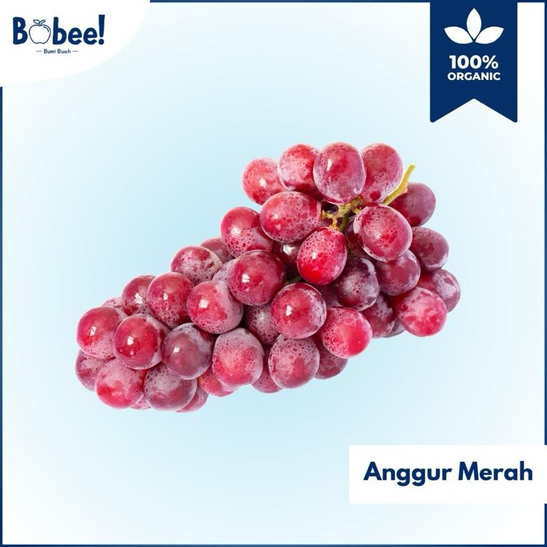 

AnggurMerah RedGlobe Import Aussie Super | Bobee.official (Instan/Sameday) aSt