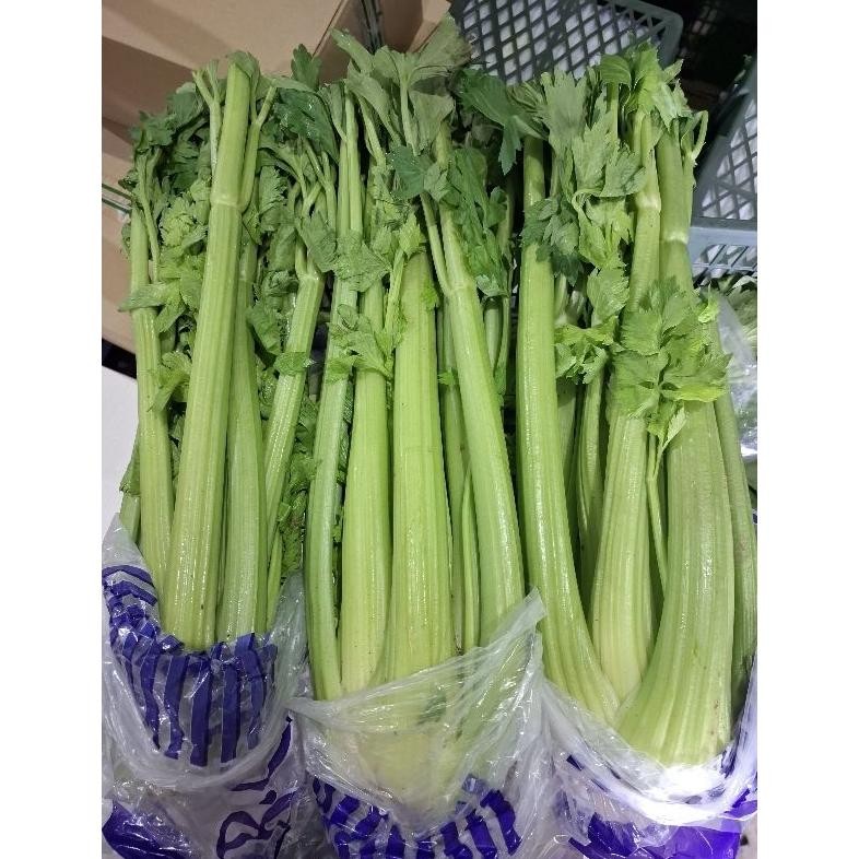 

Celery Stick Import - Celery Stick 1KG - Seledri Batang - Fresh per KG aSt