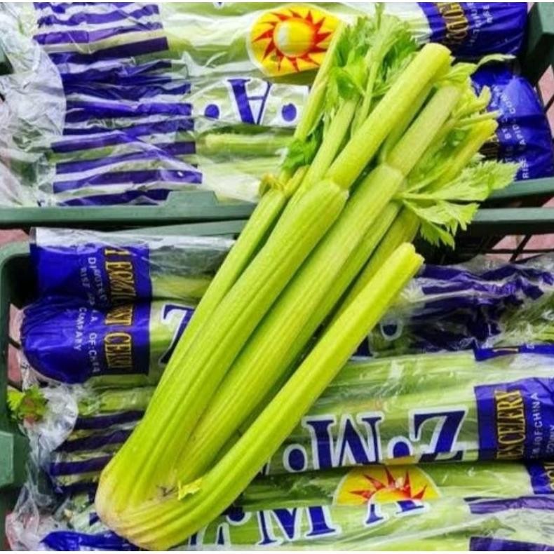 

saledri / celery stick 500grm aSt