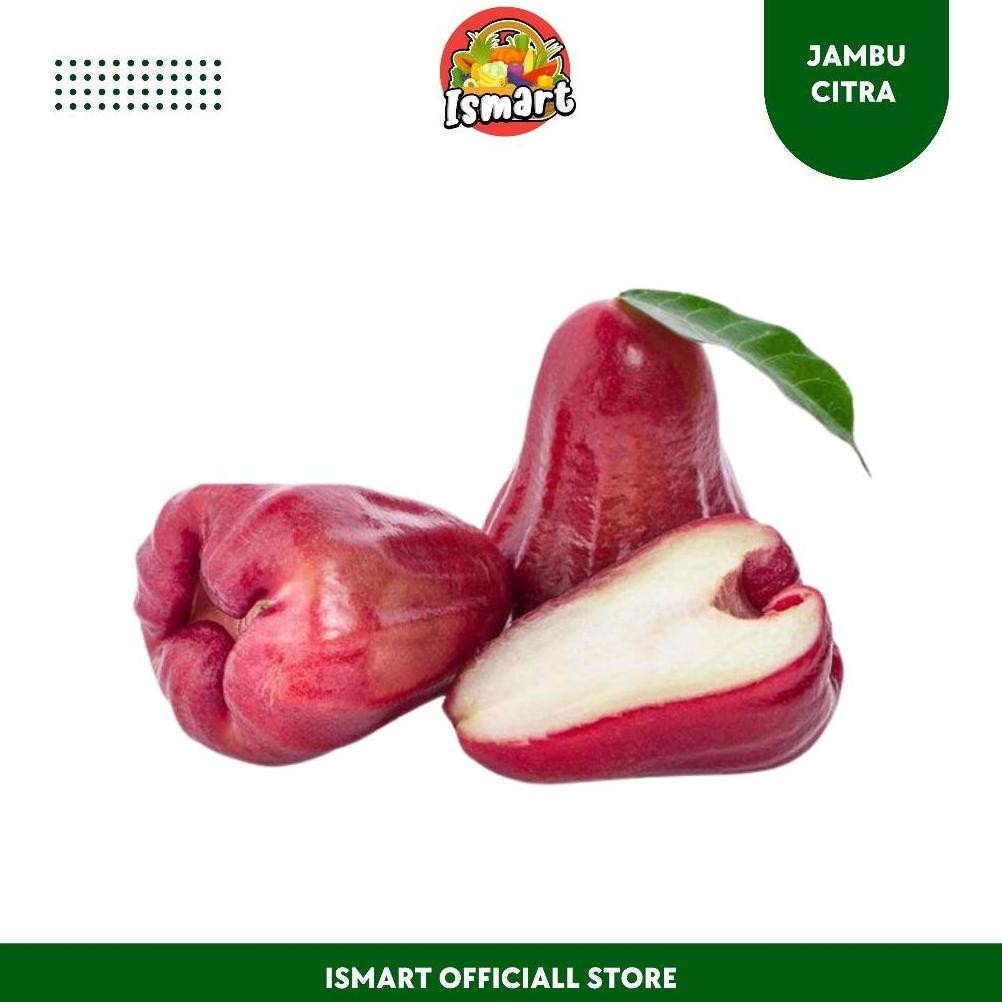 

ISMART | Jambu Citra Merah (1 kg) Best Offer - Khusus Pengiriman Untuk JABODETABEK aSt