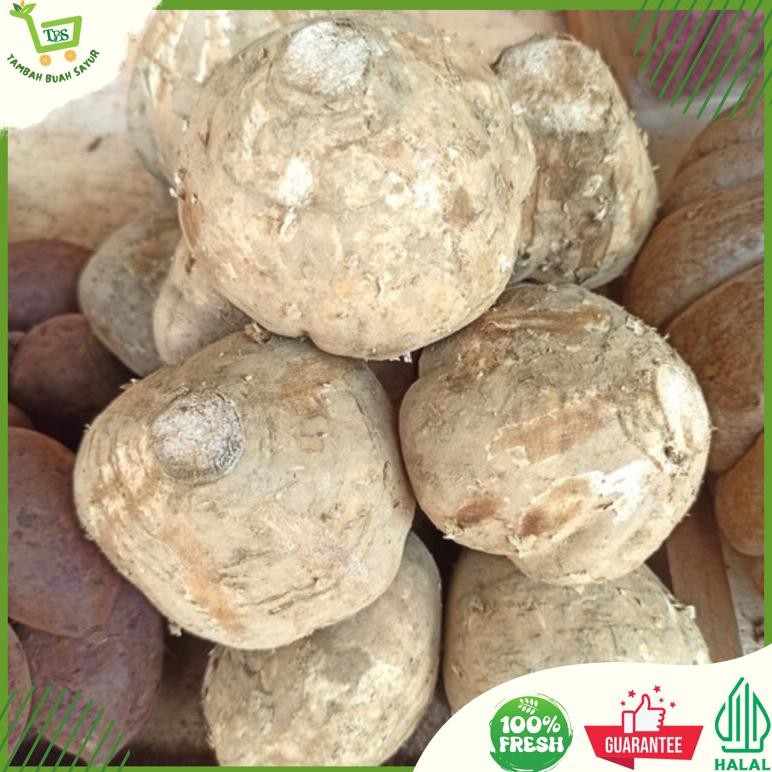 

BENGKOANG FRESH 1 KG aSt