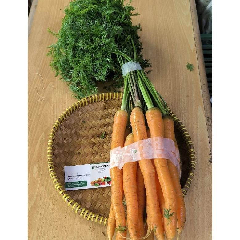 

Wortel organik 1kg aSt