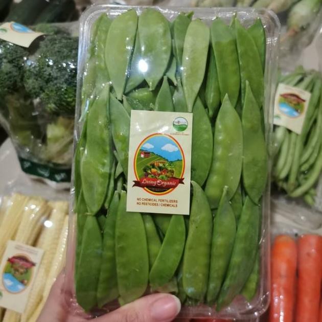 

Kapri Muda Organik || 200gr || Snowed Peas Organic aSt