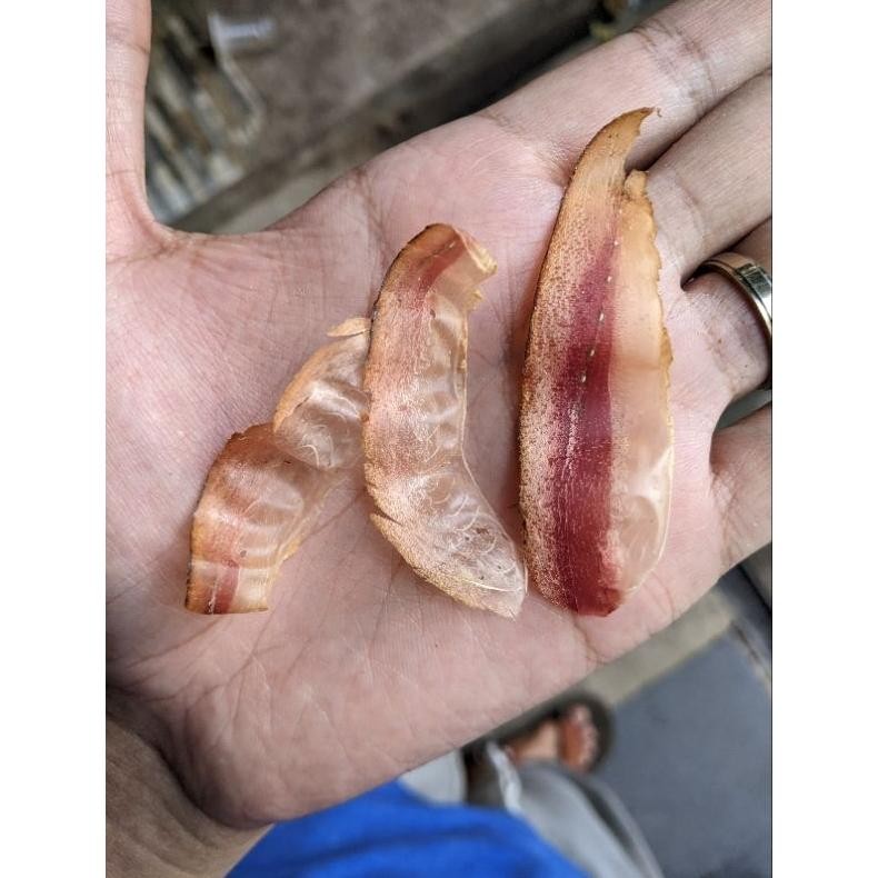 

Katsuobushi Premium 100gr (Grade A) aSt