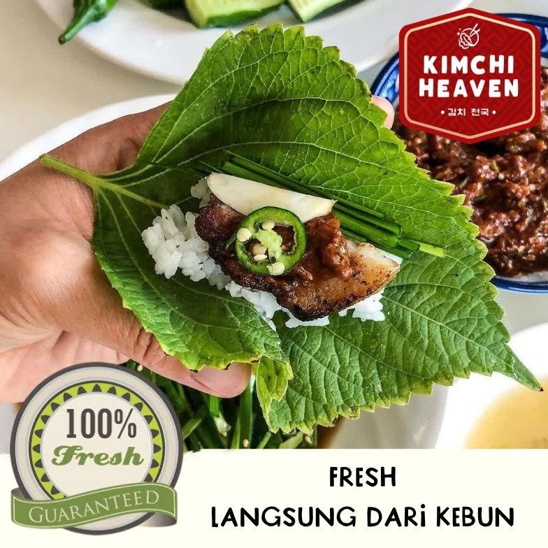 

Daun Perilla 200g / daun kkaenip / perilla leaf / daun bbq wrap korea / lalapan korea / sayur korea / bulgogi aSt