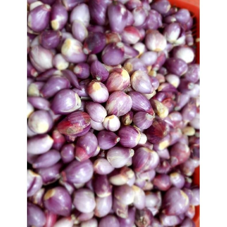 

Bawang Merah Kupas 1 kg aSt