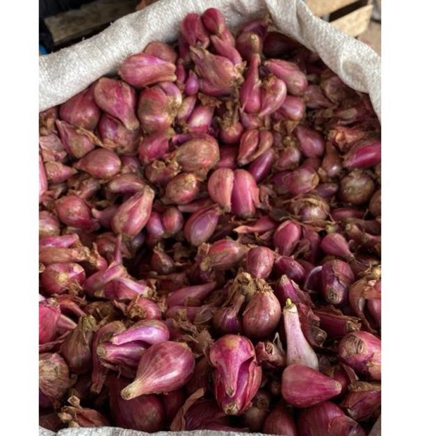 

Bawang Merah Campur Besar Dan Kecil 500Gr aSt